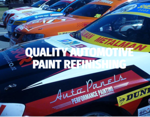 Auto Panels Waikiwi Launch New Look Website Auto Panels Waikiwi Launch New Look Website